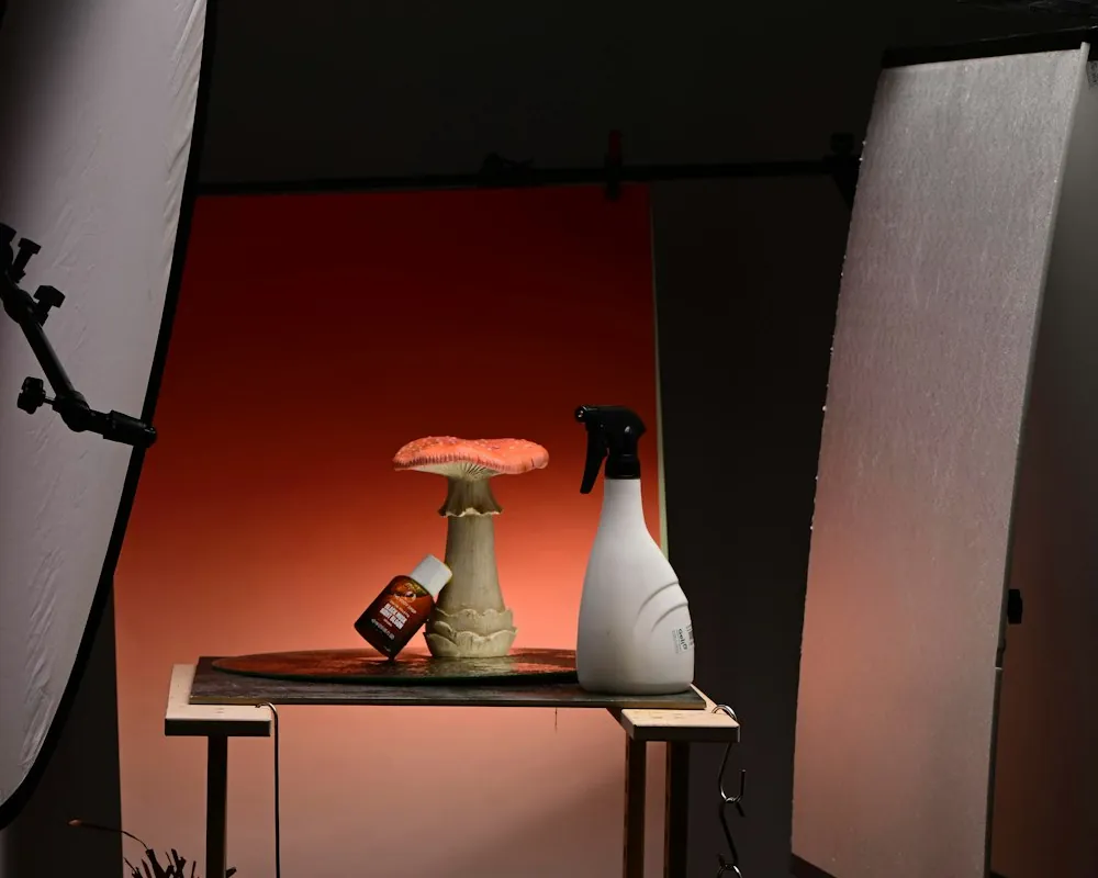 Shooting photo d’un produit sur fond orange, avec réflecteurs